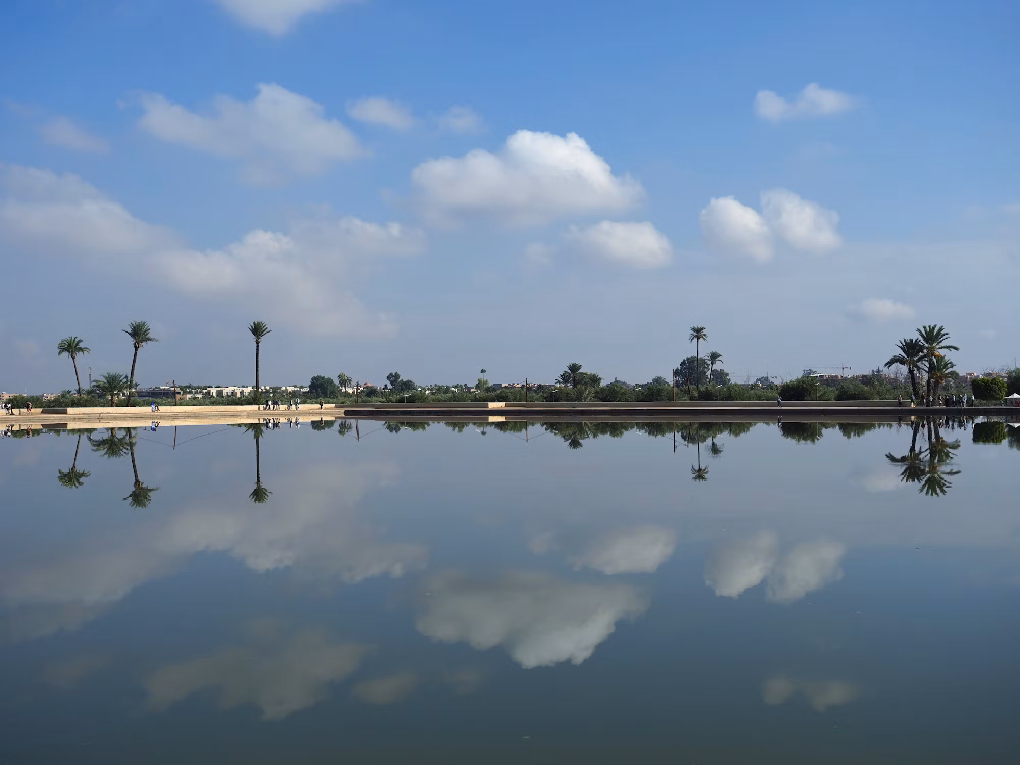 The Art of Bushwhacking: A Guide to Off-Trail Hiking Adventures